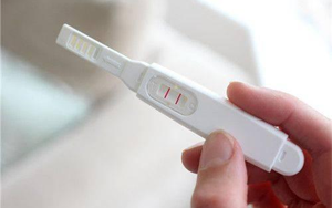 人絨毛膜促性腺激素（HCG）整體解決方案
