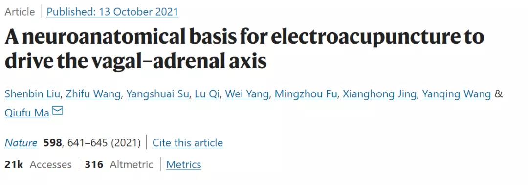 Nature：針灸不再是“玄學”！中美科學家證明針灸的神經解剖學原理