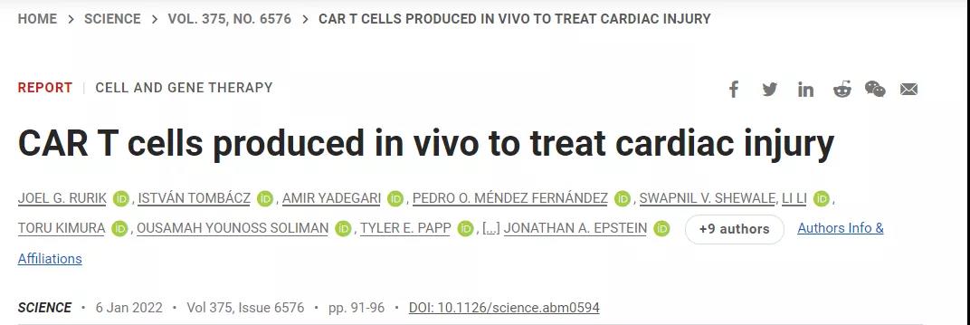 CAR-T技術再升級!無需體外編程T細胞,一針注射修復受損心臟,省錢又省心!
