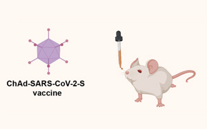 Science Immunology研究證實：鼻腔噴霧劑對阻止變異很重要
