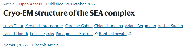 研究人員確定了SEA復合體的結構 研究人員確定了SEA復合體的結構