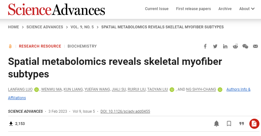 科學家們首次在小鼠腿上發現了一種新的超快2B型肌纖維亞型 科學家們首次在小鼠腿上發現了一種新的超快2B型肌纖維亞型