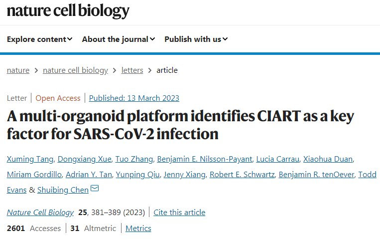 CIART基因的活性是引發COVID-19病毒感染的關鍵因素 CIART基因的活性是引發COVID-19病毒感染的關鍵因素