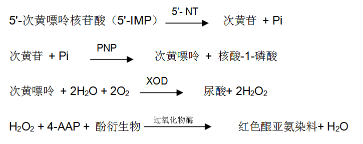 5'-核糖核苷酸磷酸水解酶檢測(cè)原理 5'-核糖核苷酸磷酸水解酶檢測(cè)原理