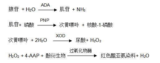 腺苷脫氨酶(ADA)過氧化物酶法檢測原理 腺苷脫氨酶(ADA)過氧化物酶法檢測原理
