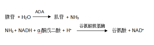 腺苷脫氨酶(ADA)谷氨酸脫氫酶法檢測原理 腺苷脫氨酶(ADA)谷氨酸脫氫酶法檢測原理
