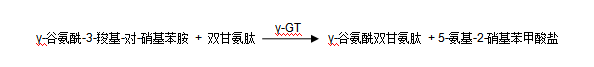 γ-谷氨酰轉(zhuǎn)移酶(γ-GT)檢測(cè)原理 γ-谷氨酰轉(zhuǎn)移酶(γ-GT)檢測(cè)原理