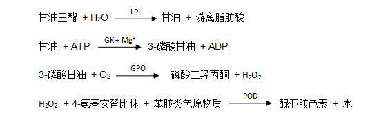 甘油三酯(TG)檢測(cè)原理 甘油三酯(TG)檢測(cè)原理
