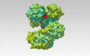 Nature解開一種蛋白質，研發一種新的生物技術工具