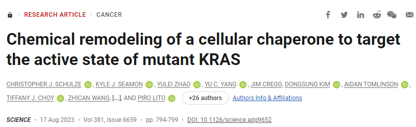 靶向突變KRAS活性狀態的細胞伴侶的化學重塑 靶向突變KRAS活性狀態的細胞伴侶的化學重塑
