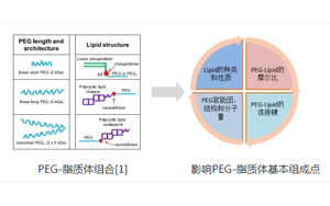 聚乙二醇-脂質(PEG-lipid)結構與性質