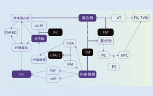 血栓調節蛋白(TM)-磁微粒化學發光法(AE/AP)解決方案