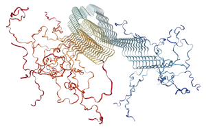 PNAS:一種新的檢測(cè)方法有望早期發(fā)現(xiàn)帕金森病