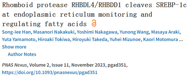 SREBP-1c裂解酶是脂肪酸生物合成的關(guān)鍵角色 SREBP-1c裂解酶是脂肪酸生物合成的關(guān)鍵角色