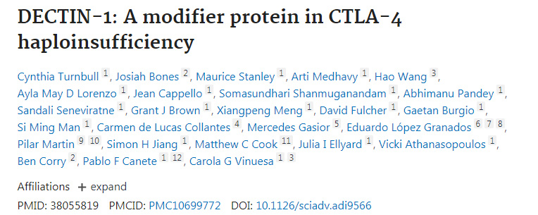 DECTIN-1:CTLA-4單倍充足性的修飾蛋白 DECTIN-1:CTLA-4單倍充足性的修飾蛋白