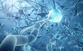 Science:當神經(jīng)元向一個方向流動