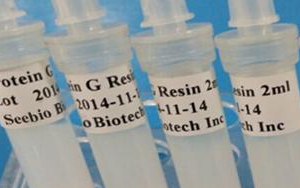 西寶生物 rProtein G SeePUR重組蛋白G親和層析預(yù)裝柱/填料系列產(chǎn)品-用于抗體純化！