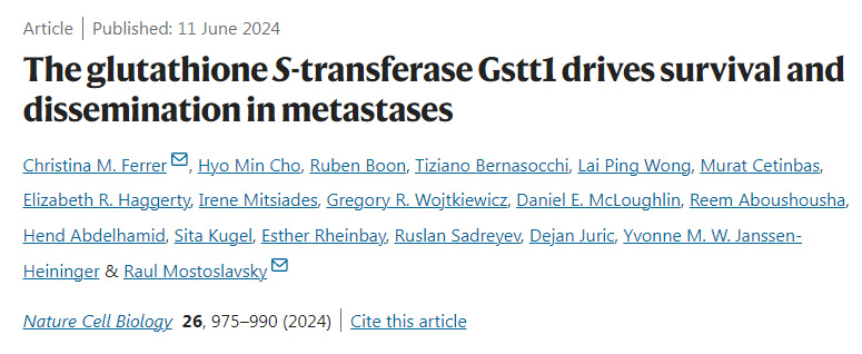 谷胱甘肽S-轉移酶Gstt1驅動轉移瘤的存活和擴散 谷胱甘肽S-轉移酶Gstt1驅動轉移瘤的存活和擴散