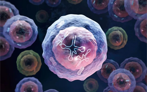 Nature Immunology:一種特殊類型的人類白細胞 Nature Immunology:一種特殊類型的人類白細胞