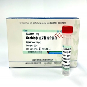 Seebio??麥芽糖結合蛋白（MBP）
